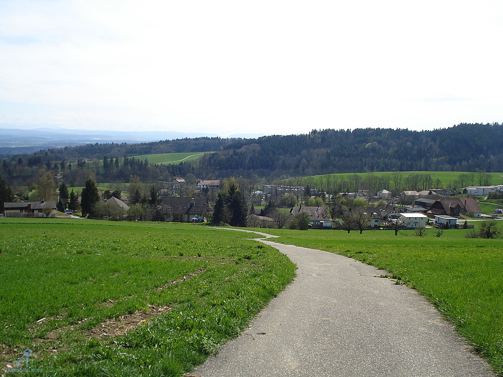 DSC06877