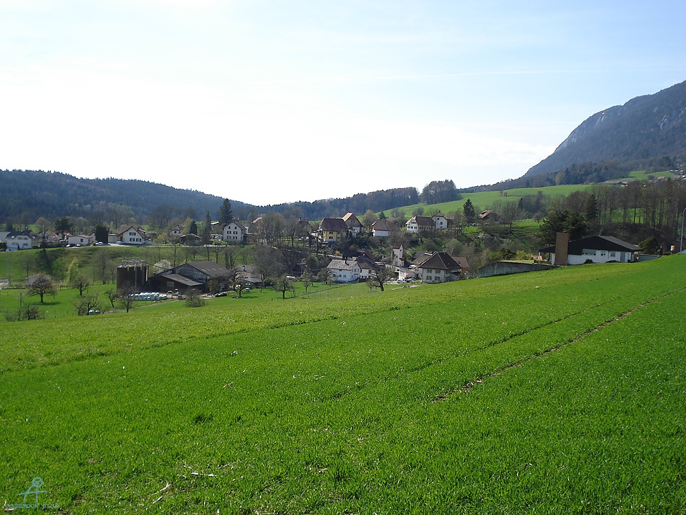 DSC06880
