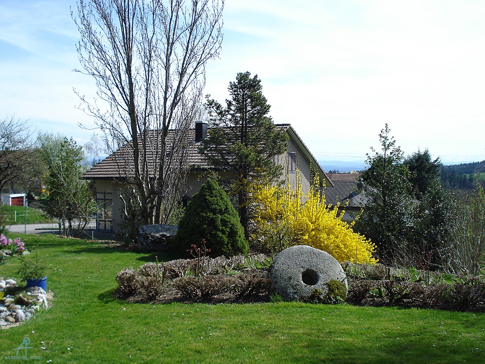 DSC06885