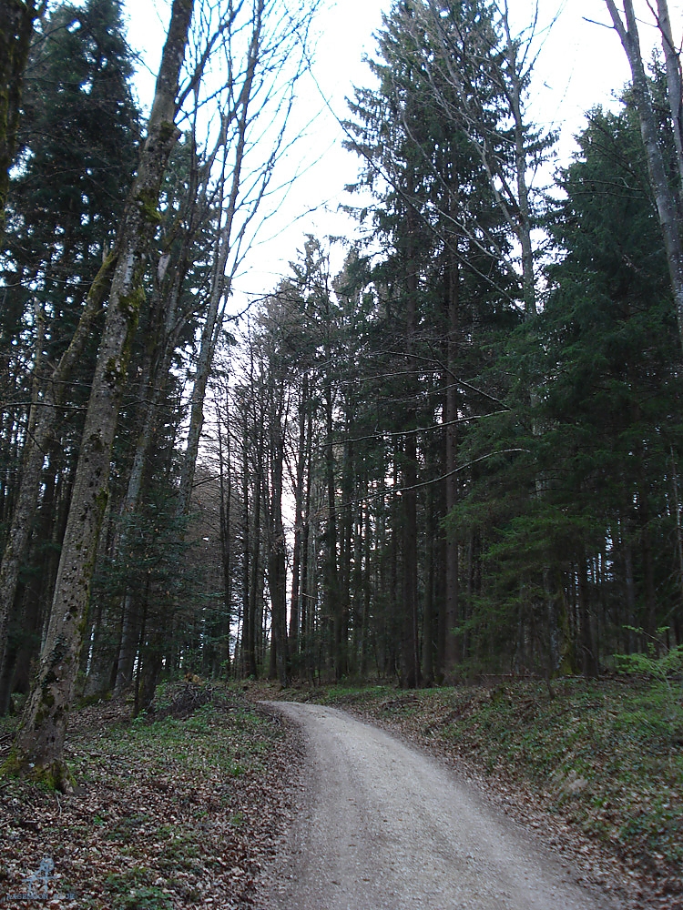 DSC06909
