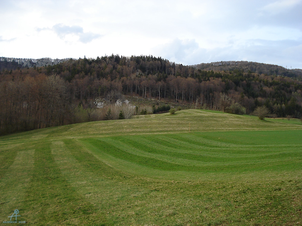DSC06919