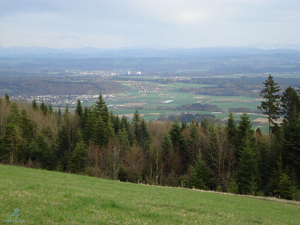 DSC06923