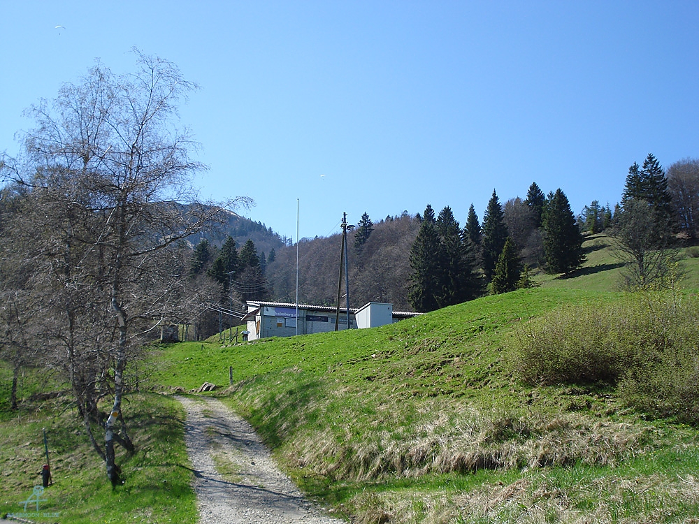 DSC06947