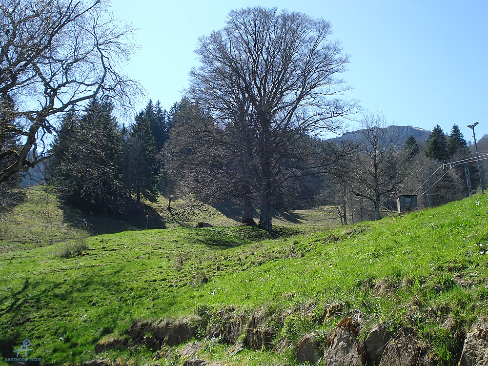 DSC06948