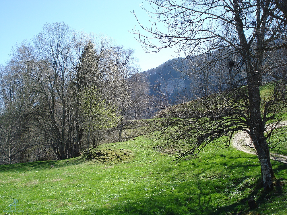 DSC06949
