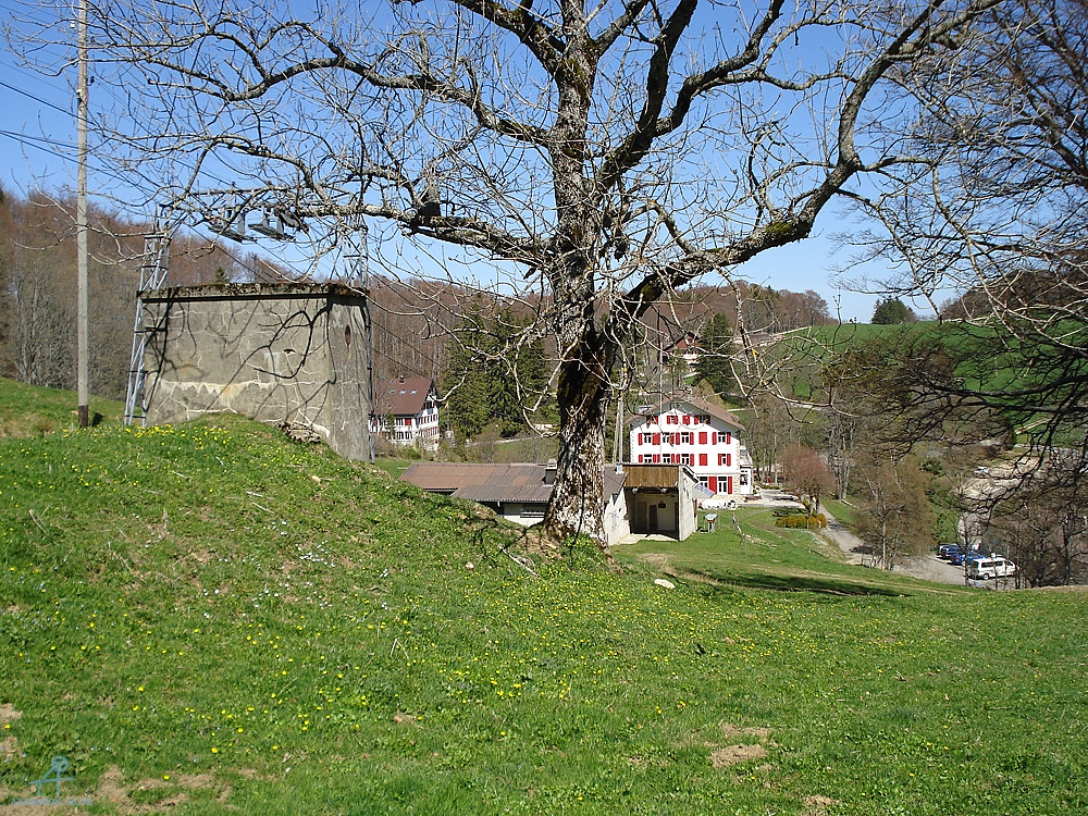 DSC06953