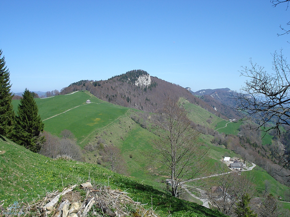 DSC06958