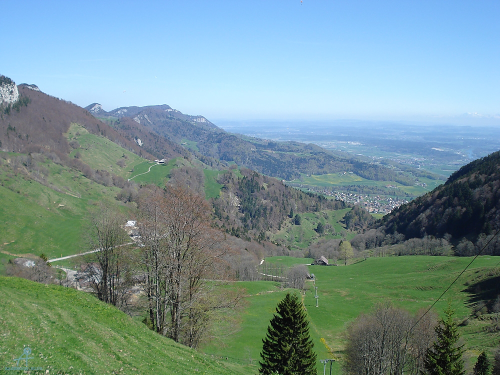 DSC06960