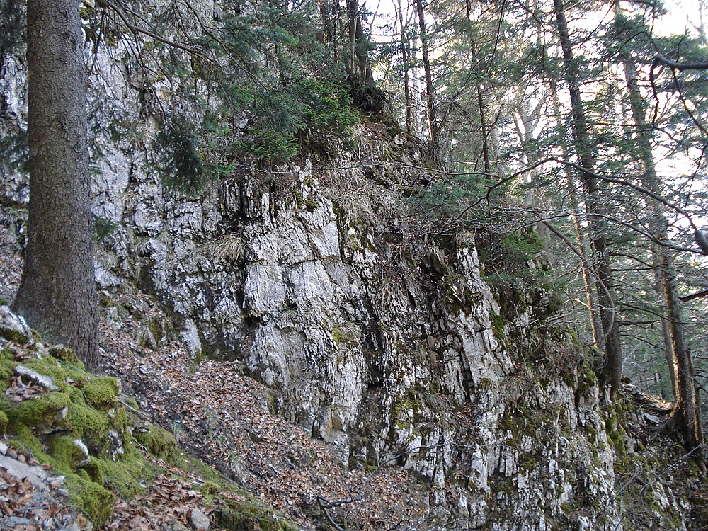 DSC06975