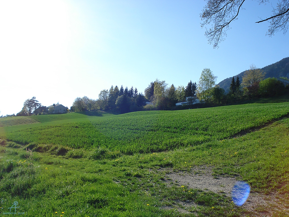 DSC07029