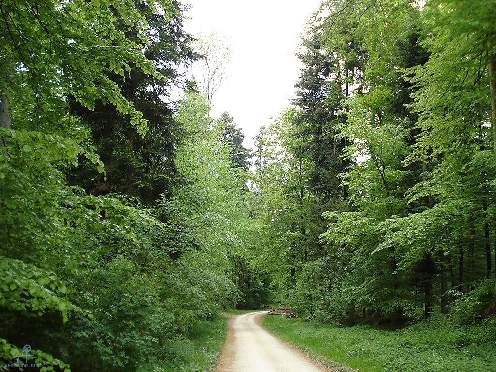 DSC07080