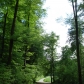 DSC07090