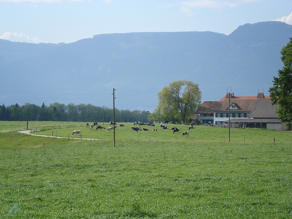 DSC07093
