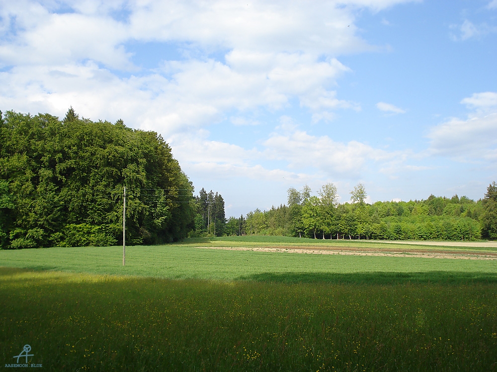 DSC07097