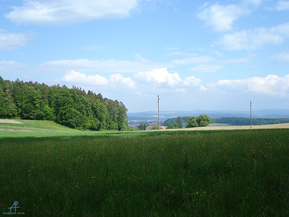 DSC07098