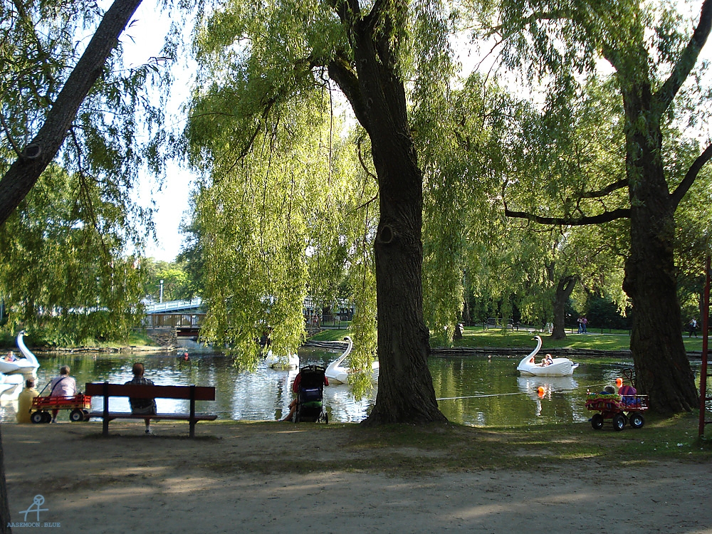 DSC02182