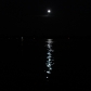 DSC02292