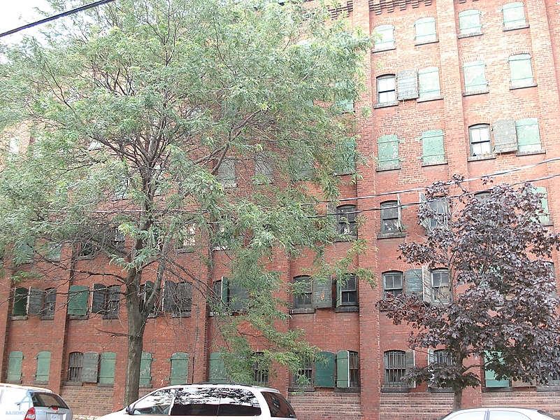 DSC00247