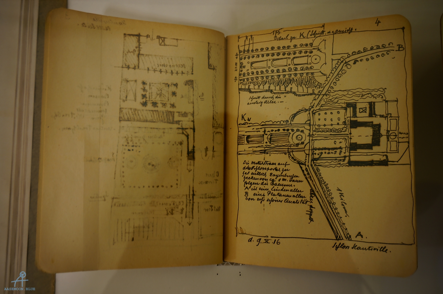 DSC08550