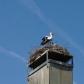 DSC09402
