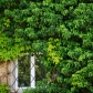 DSC09427