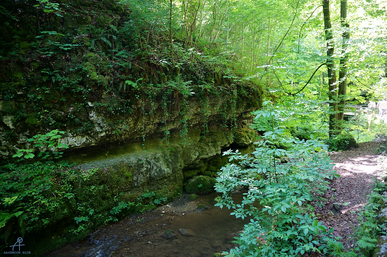 DSC09449