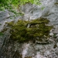 DSC09519