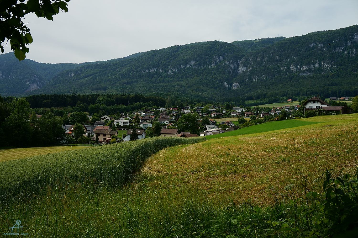 DSC09521