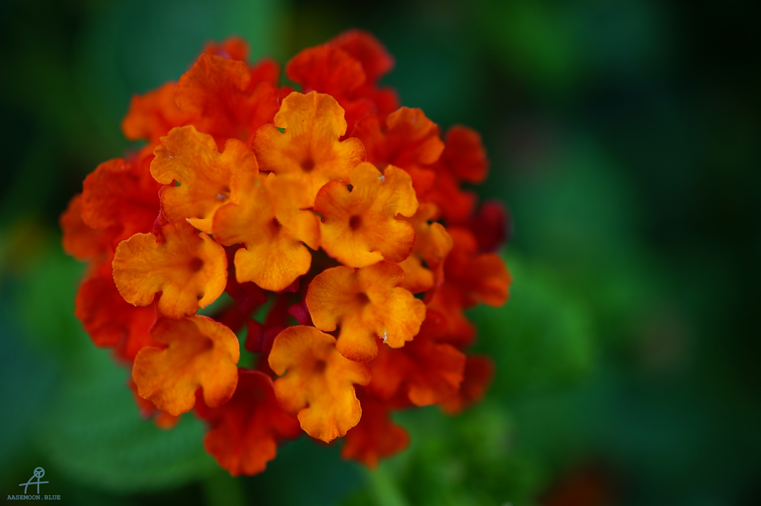 DSC00056
