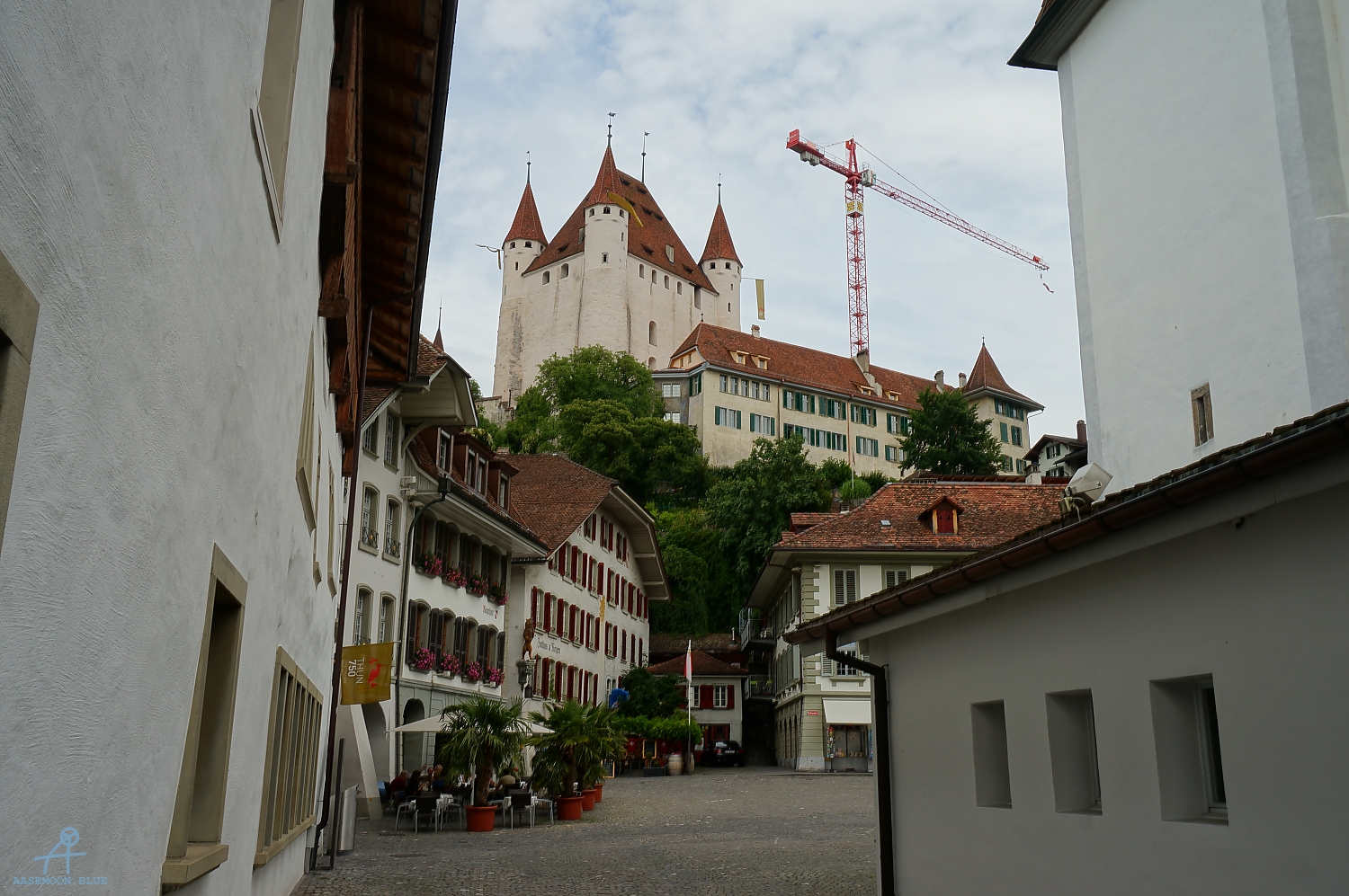 DSC09888