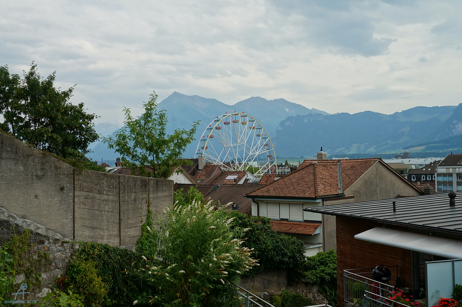 DSC09890