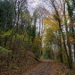 DSC02996