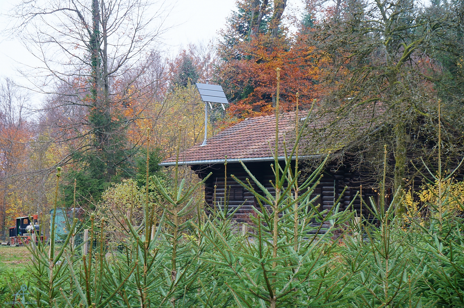 DSC03011