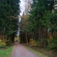 DSC03013