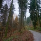 DSC03029