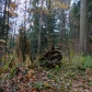 DSC03031