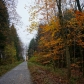 DSC03037