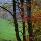 DSC03145