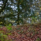 DSC03171