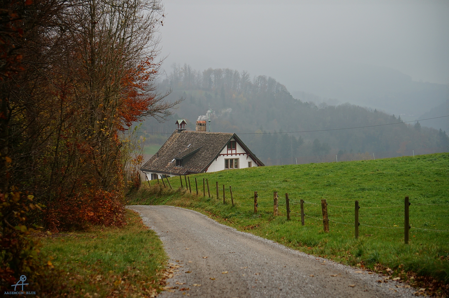 DSC03189