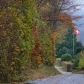 DSC03193