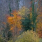 DSC03197