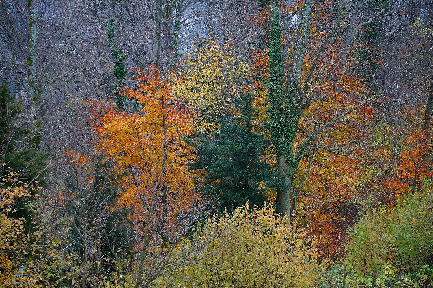 DSC03197