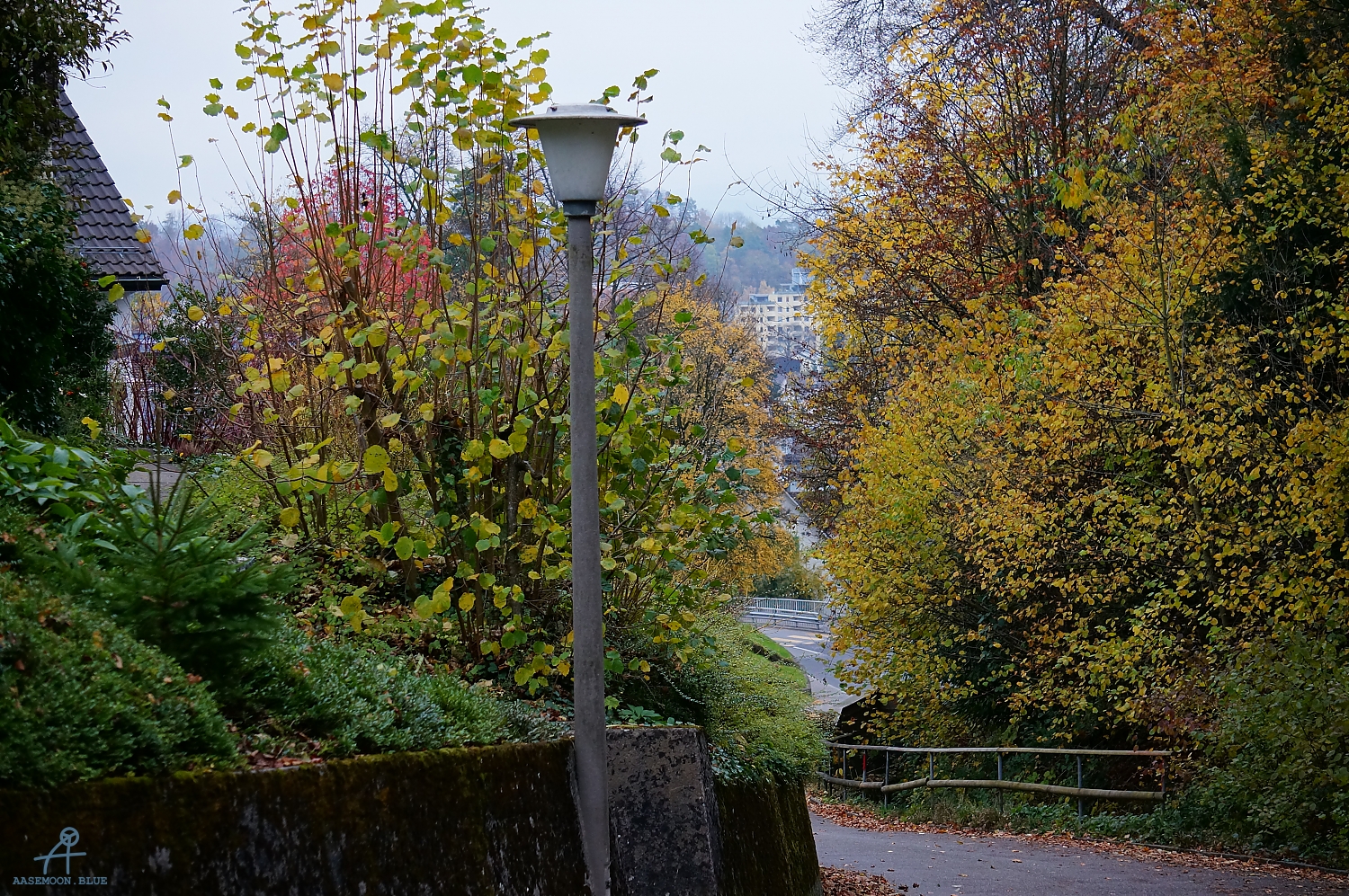 DSC03241