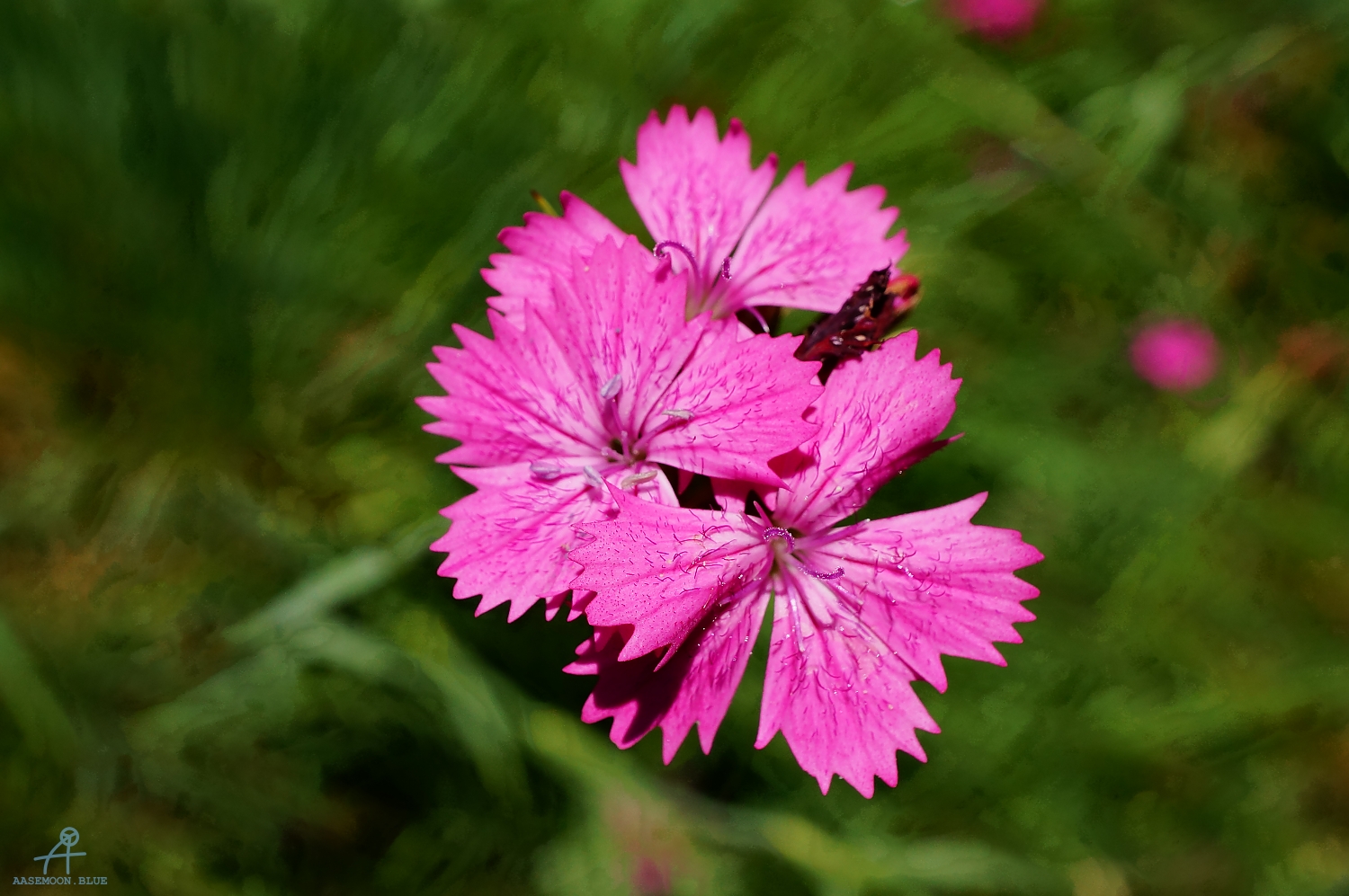 DSC06438