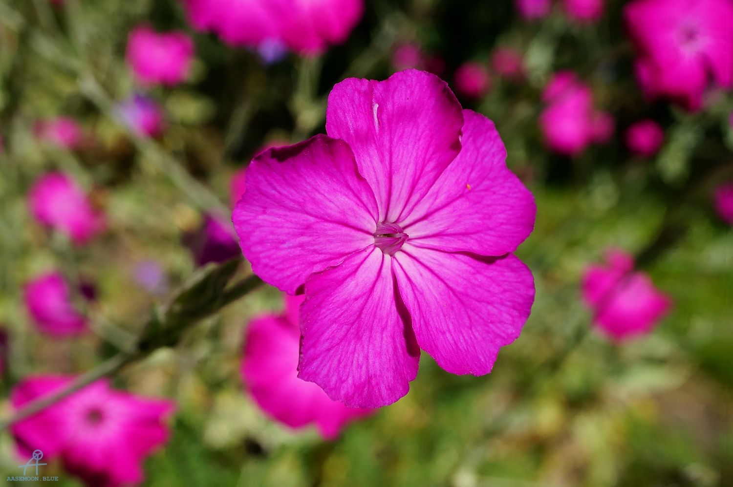 DSC06450