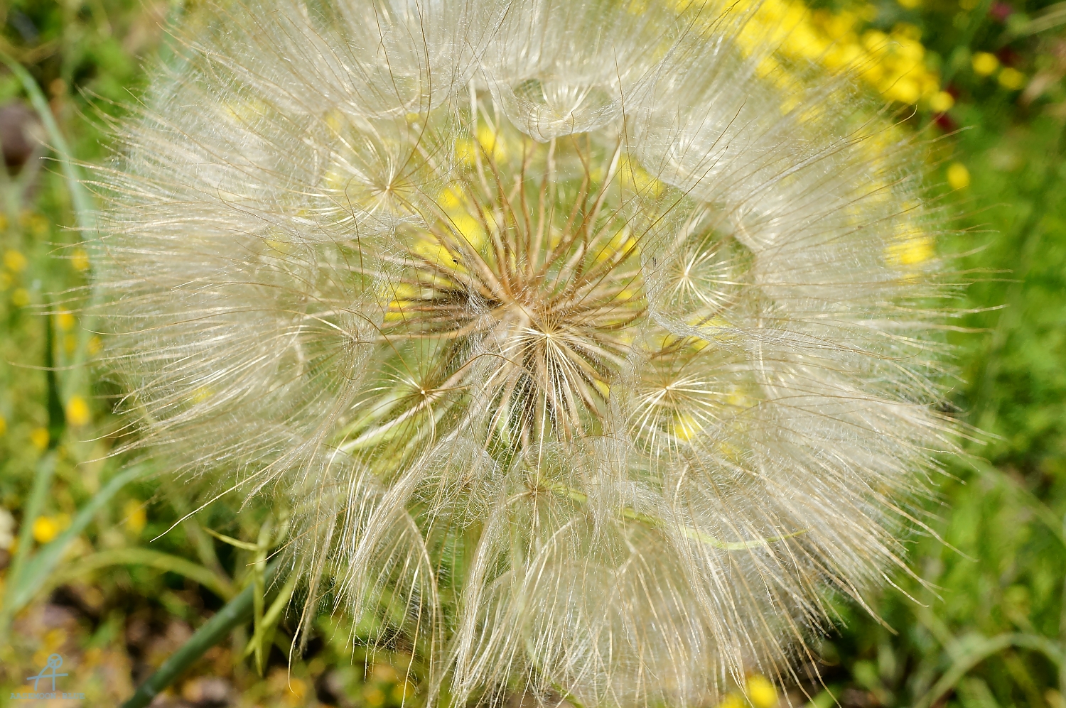 DSC06480