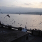 DSC00716