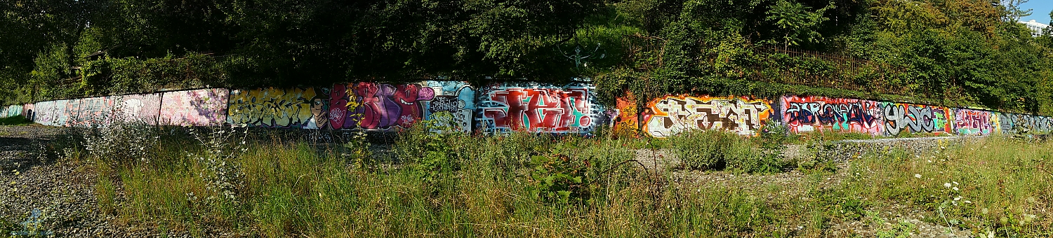 DSC00753